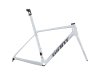 GIANT TCR Advanced SL Rahmenset v10.1 Opal L